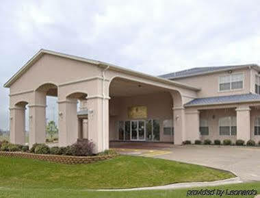 Super 8 By Wyndham Greenville Bagian luar foto